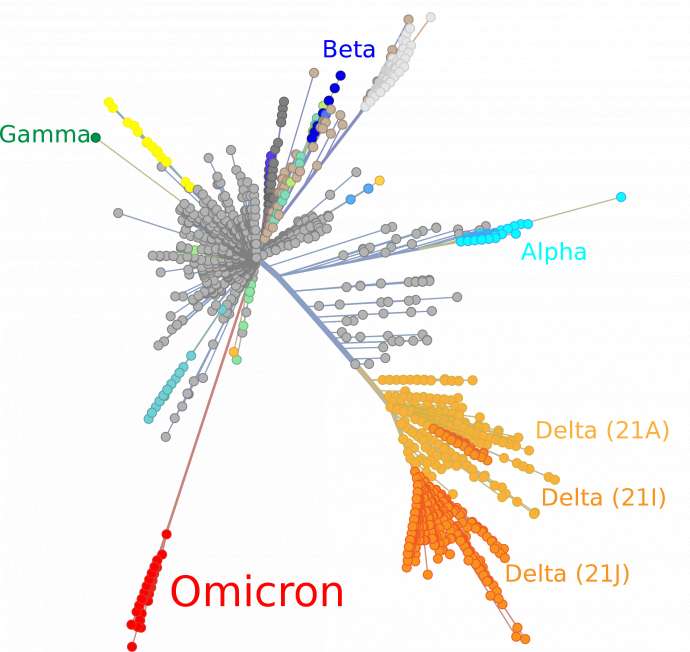 Omicron variant and other major or previous variants concern of SARS-CoV-2 depicted in a tree scaled radially by genetic distance, derived from NextStrain on 2021 Dec 01