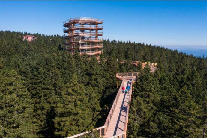 See Nature Anew on Pohorje’s Treetop Walk