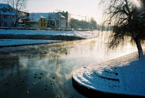 Ljubljanica in winter with ducks