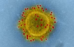 MERS Coronavirus Particle