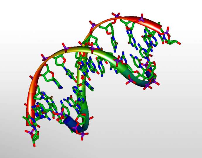 Slovenian Genome Project Launched