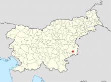 The location of Brežice 