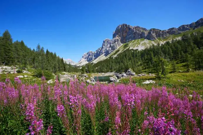 Triglav National Park