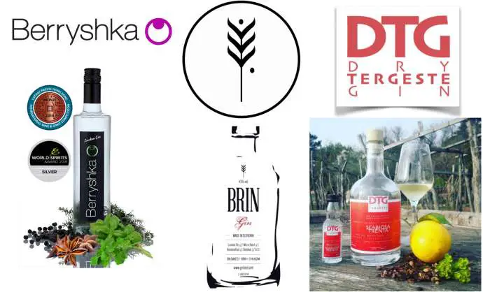 A Guide to Slovenian Gin, Part One: Berryshka, Brin Gin, Dry Tergeste Gin (DTG)