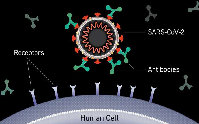 Slovenia Introduces Antibody Treatment for COVID Patients