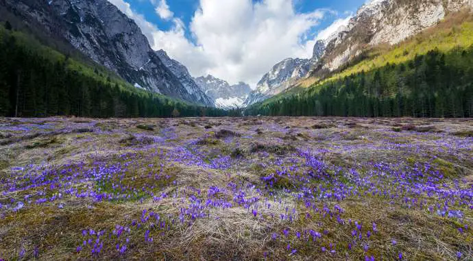 Spring Comes to Krma Valley