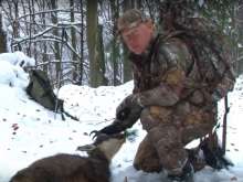 Hunting an Ageing Pursuit in Slovenia, and Killing a Bear Costs Between €600 and 6,500 (Feature)