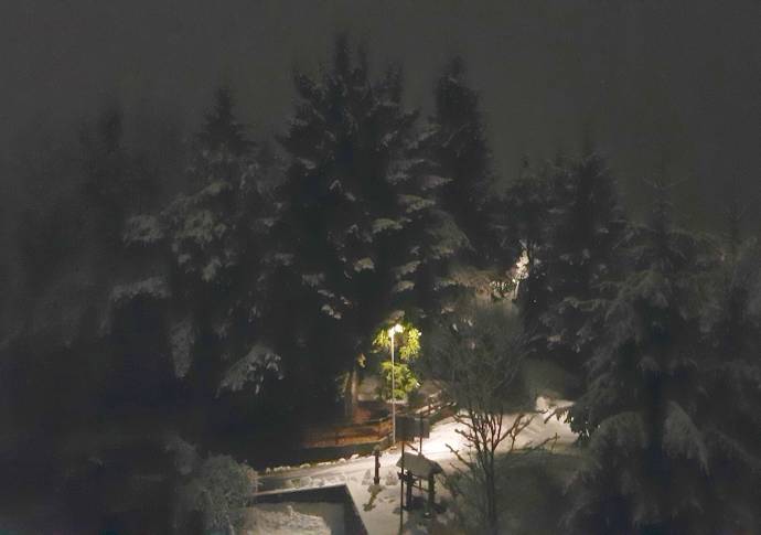 Snowfall in Logatec January 1, 2018